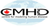 Centre For Modeling Human Disease