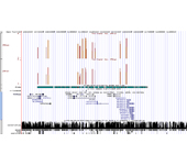 zoom (Genomic Analysis of histone modifications)